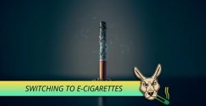 Switching To E Cigarettes
